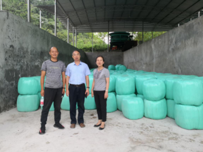 市畜牧總站帶隊南方草地項目指導工作圓滿完成，助力墊豐石畜牧飼料業升級